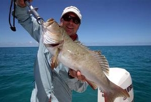 Chemicals discovered in GBR barra, coral trout